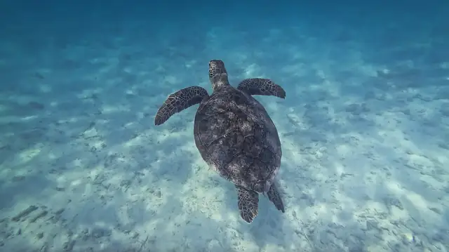 skjermbilde-2025-04-22-kl.-19.06.19